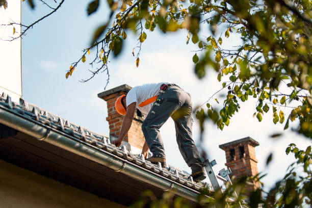Best Flat Roof Repair Services  in Bnchard, LA