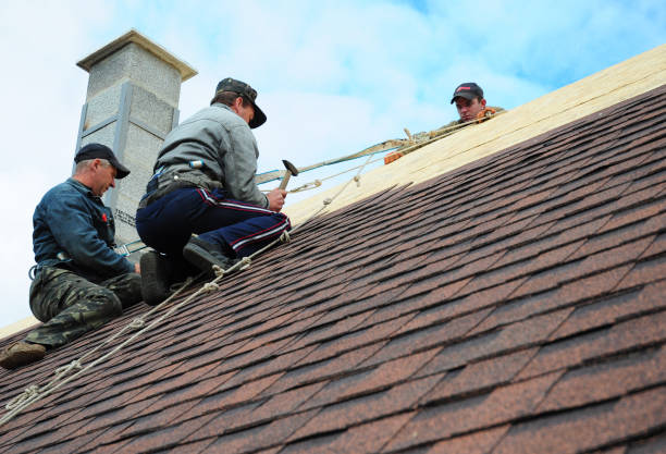 Best New Roof Installation  in Bnchard, LA